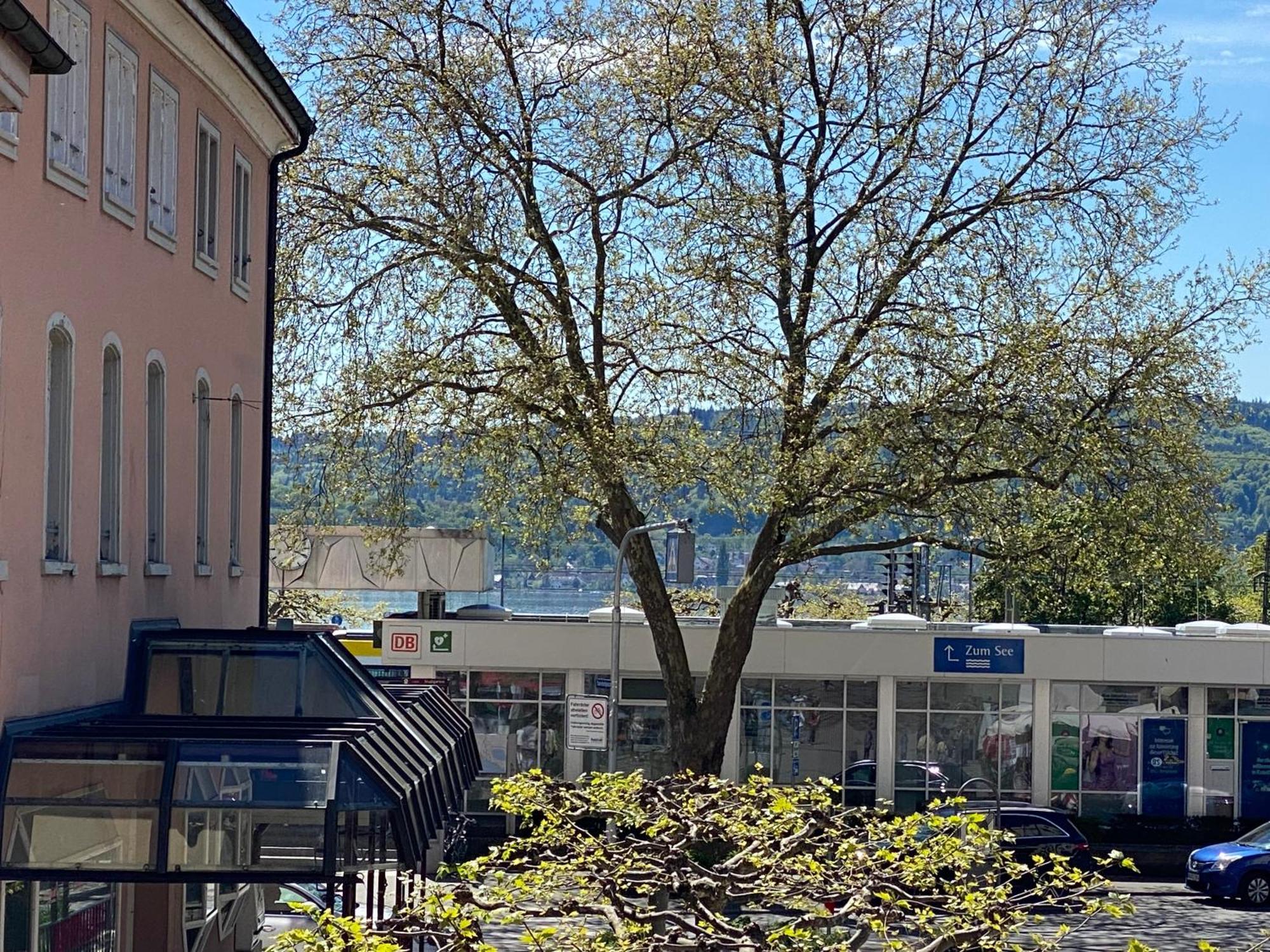 Ferienwohnung Seeromantik In 2 Minuten Am See Radolfzell am Bodensee Exterior foto